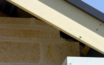 soffit repair Bryans Green